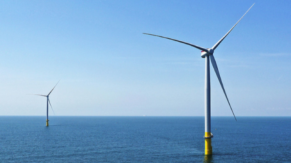STK’lar Karadeniz’de yenilenebilir enerji kaynaklarına karşı çıktı