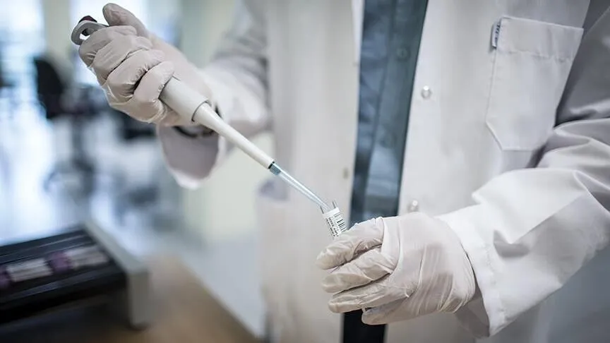 Belçikalı Bilim İnsanları Kanser Hücrelerinin Bağışıklık Sisteminden Kaçış Mekanizmasını Ortaya Çıkardı